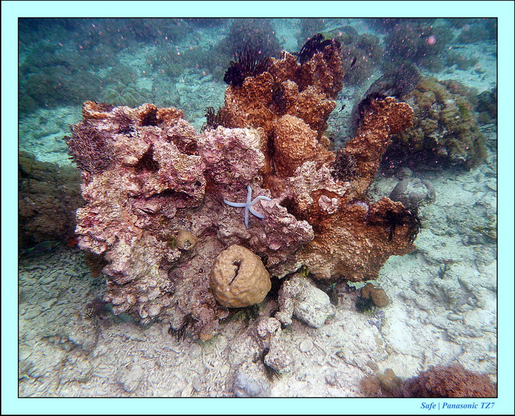 2011 - 08 - Bohey Dulang Island 45